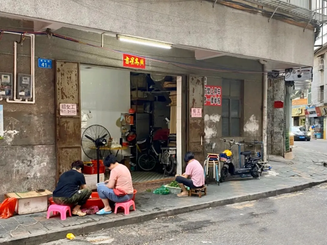 1735525743528281.jpg 33.jpg