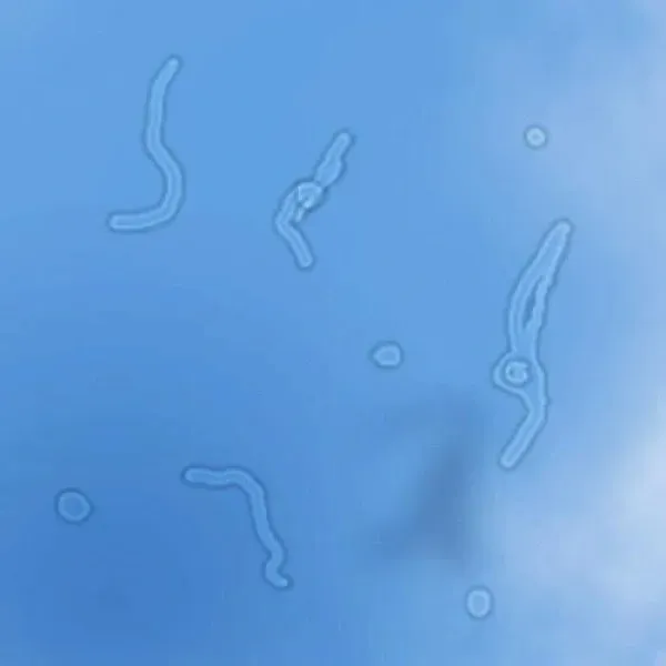 1737425507442682.jpg 2.jpg