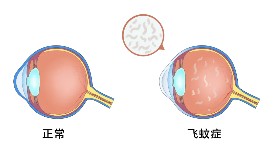 1737425519950563.jpg 4.jpg