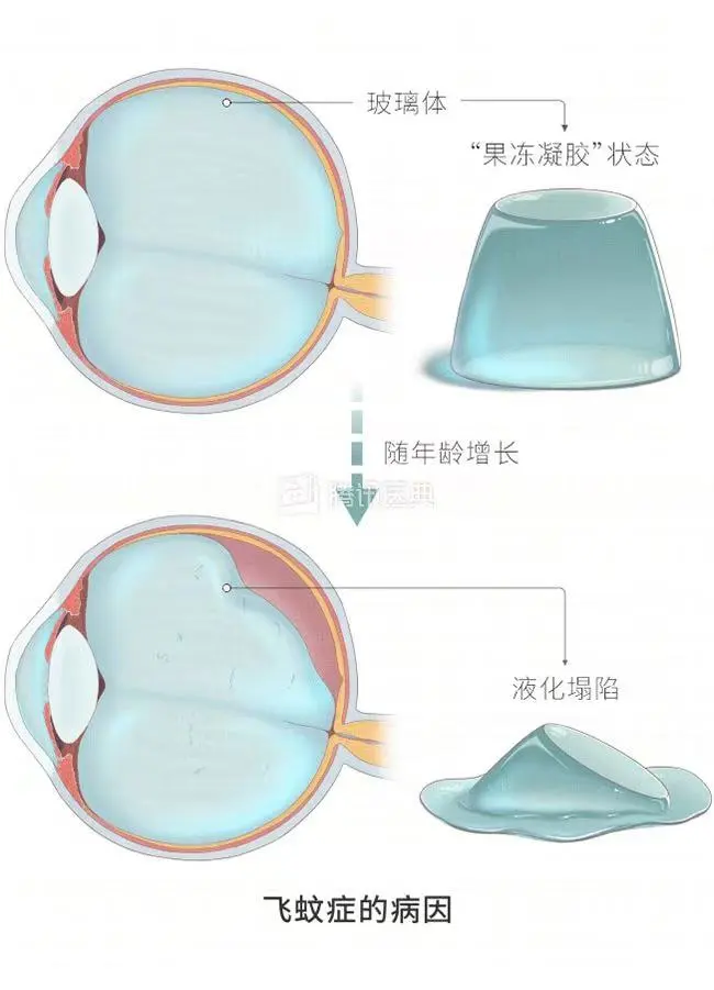 1737425532647220.jpg 5.jpg