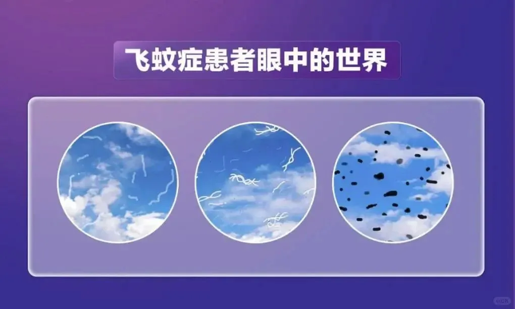 1737425538497920.jpg 6.jpg