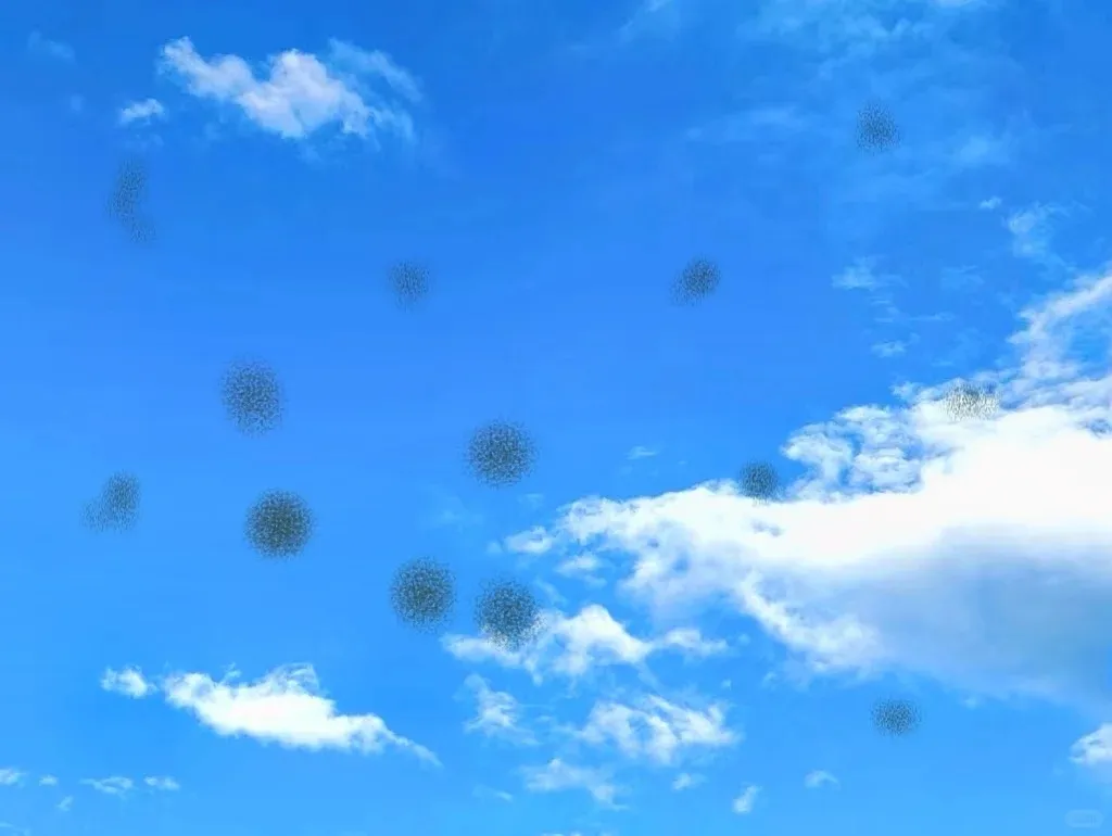 1737428304814174.jpg 1737428304814174.jpg